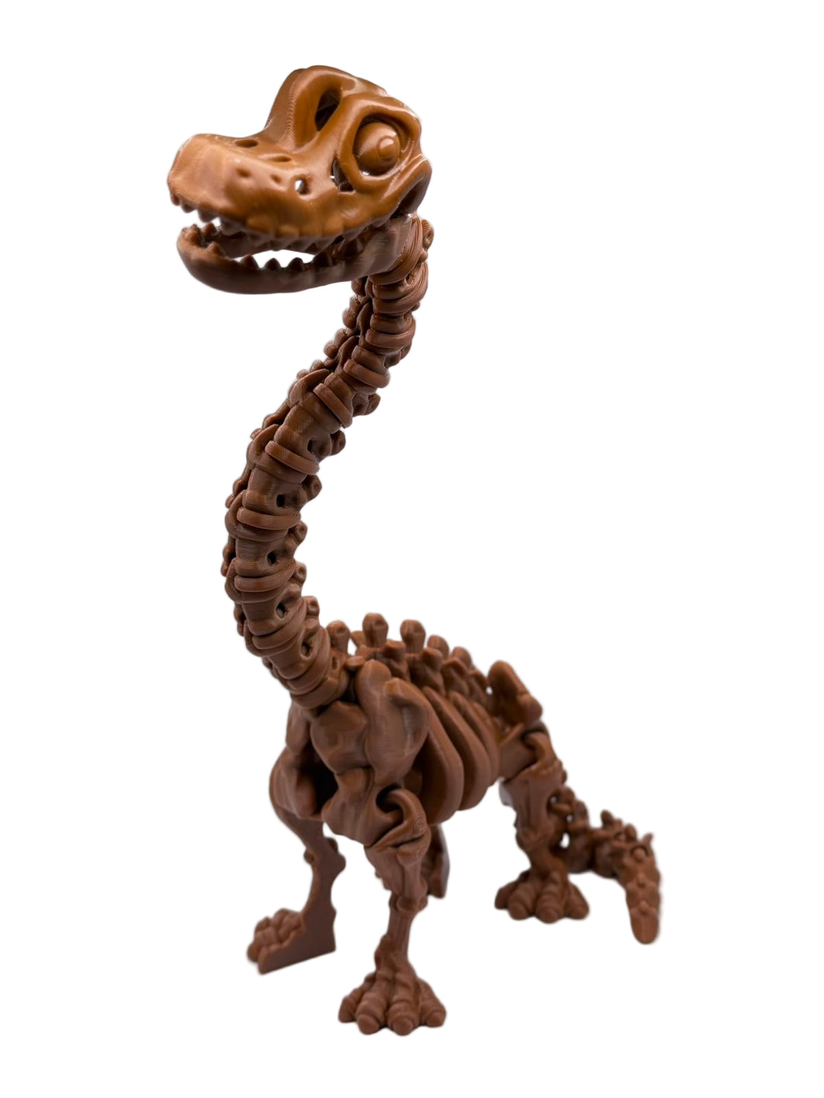 Brachiosaurus Skeleton